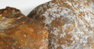 Pig Iron